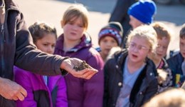 CEVAS Education Plus: Take your farm visits to the next level